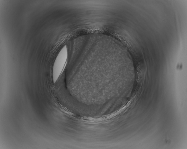 X0000094810041200712141632