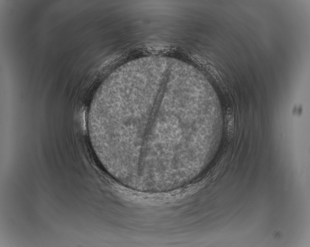 X0000094810042200712141632