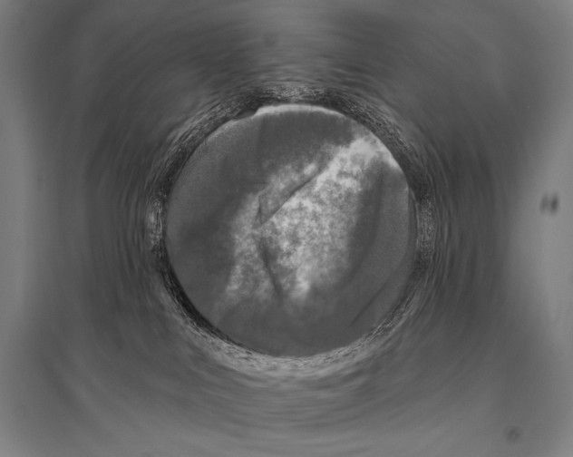 X0000094810043200712141632