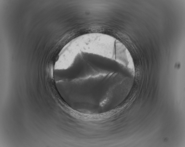 X0000094810046200712141632