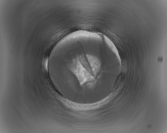 X0000094810047200712141632