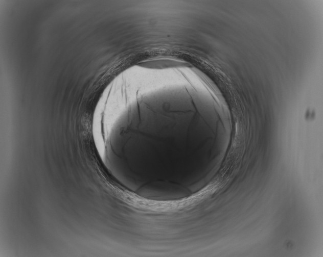 X0000094810048200712141632