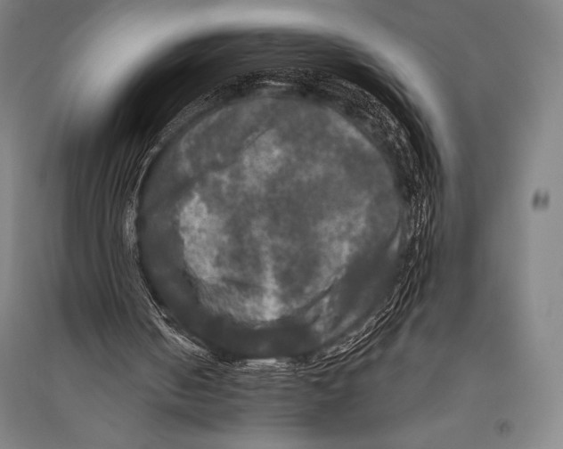 X0000094810050200712141631