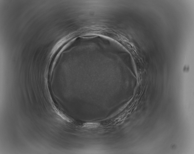 X0000094810051200712141631