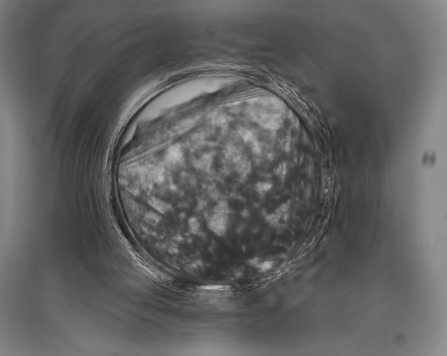 X0000094810053200712141631