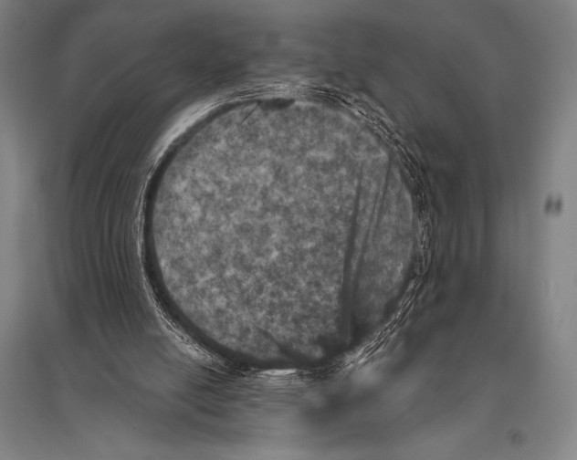 X0000094810054200712141631