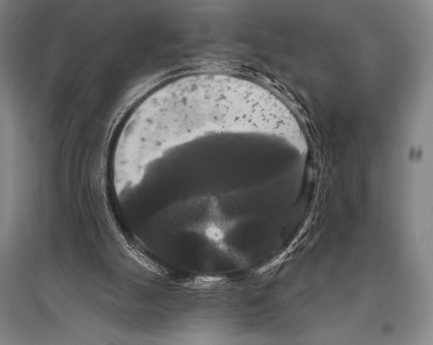 X0000094810055200712141631