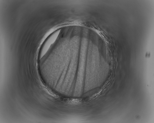 X0000094810056200712141631