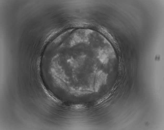 X0000094810058200712141631