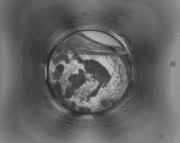 X0000094810061200712141631