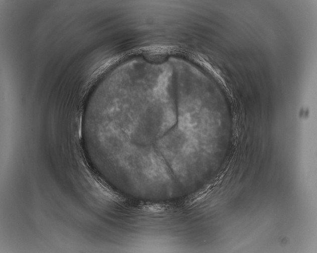 X0000094810062200712141631