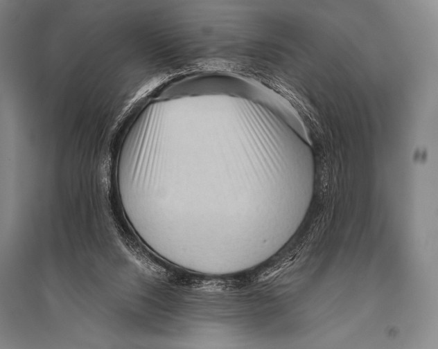 X0000094810064200712141631