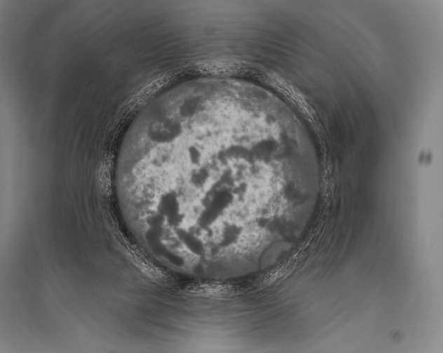 X0000094810065200712141631