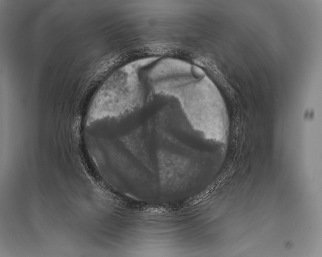 X0000094810066200712141631