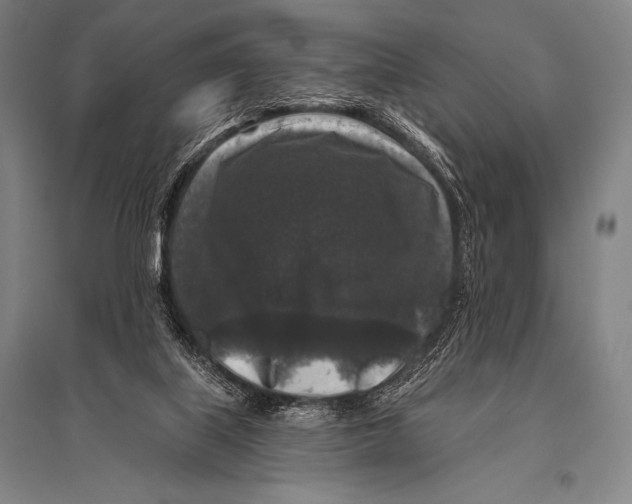 X0000094810067200712141631