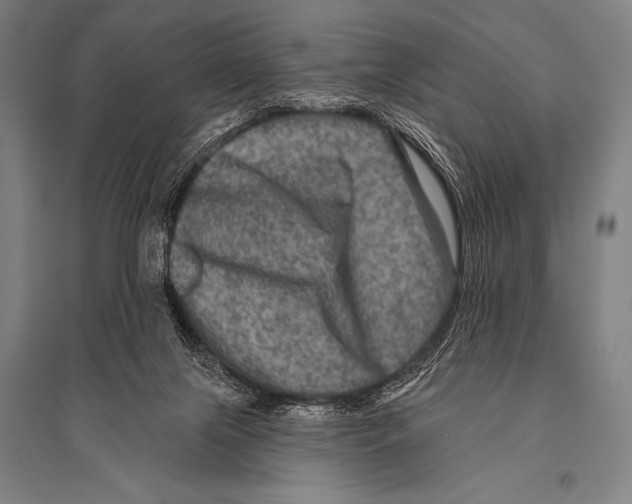 X0000094810071200712141632