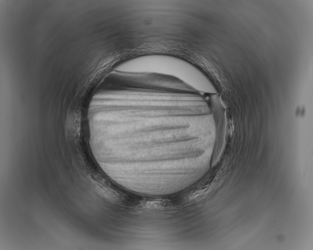 X0000094810072200712141632