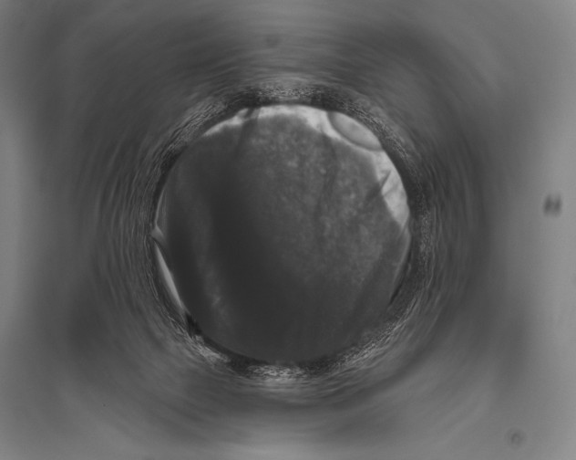 X0000094810073200712141632