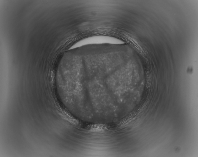 X0000094810077200712141632