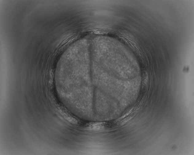 X0000094810078200712141632