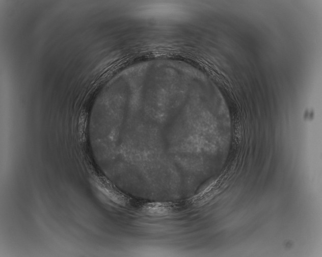 X0000094810082200712141632