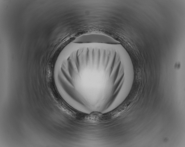 X0000094810084200712141632