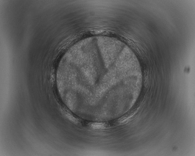 X0000094810085200712141632