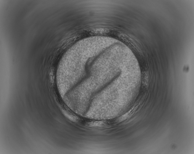 X0000094810086200712141632