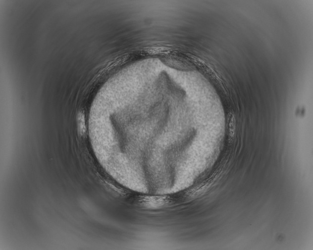 X0000094810089200712141632