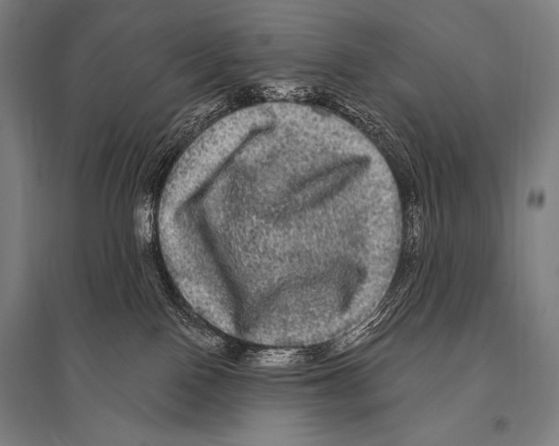 X0000094810090200712141632