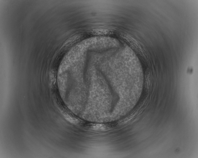 X0000094810091200712141632