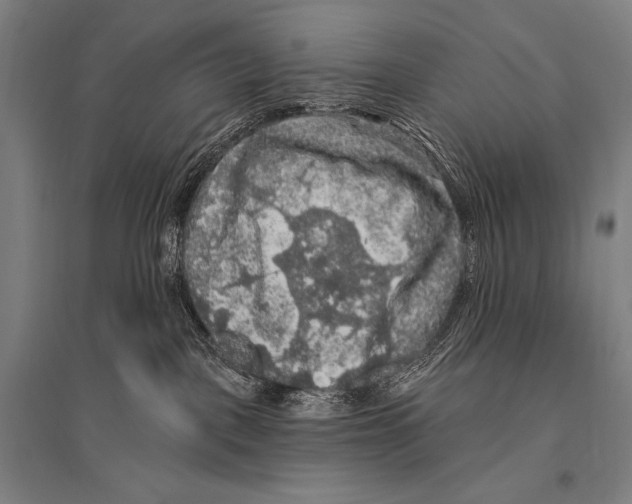 X0000094810093200712141632