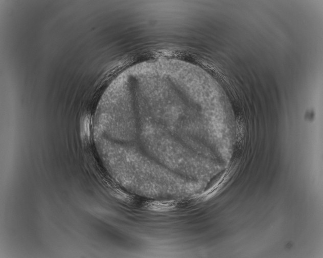 X0000094810094200712141632