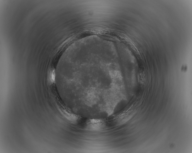 X0000094810095200712141632