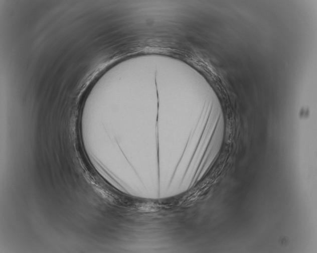 X0000094810098200712141631