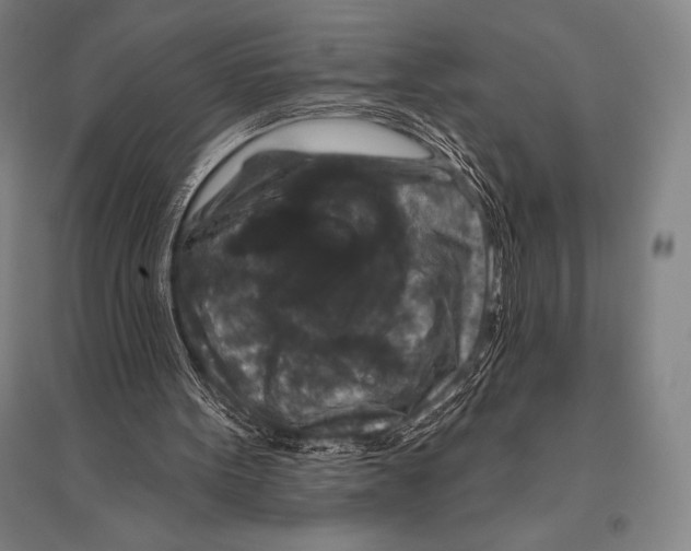 X0000094810099200712141631