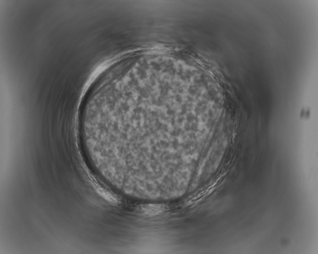 X0000094810102200712141631