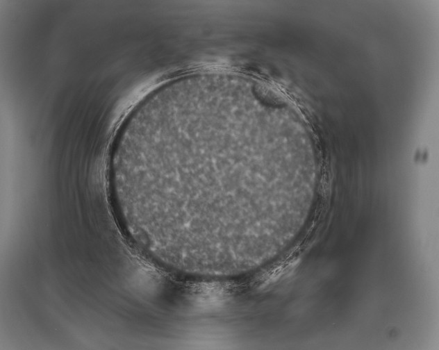 X0000094810103200712141631