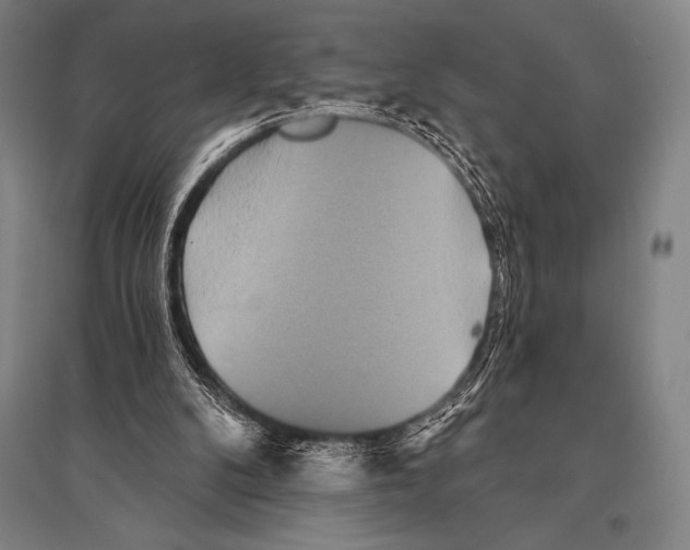 X0000094810104200712141631