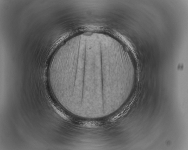 X0000094810105200712141631