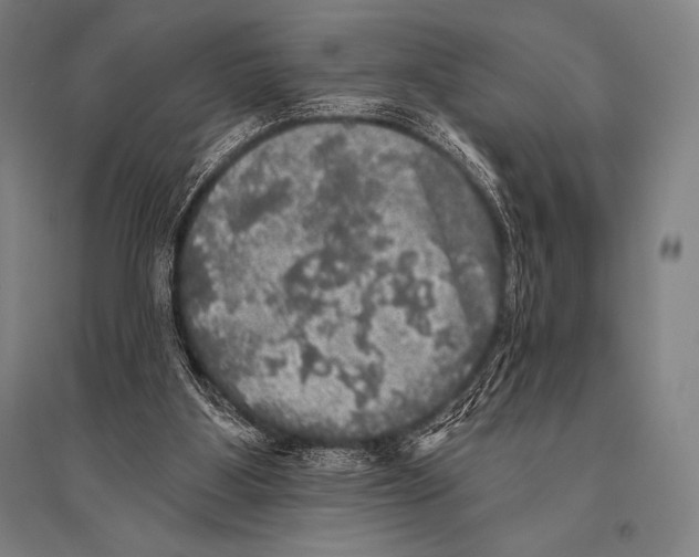 X0000094810107200712141631