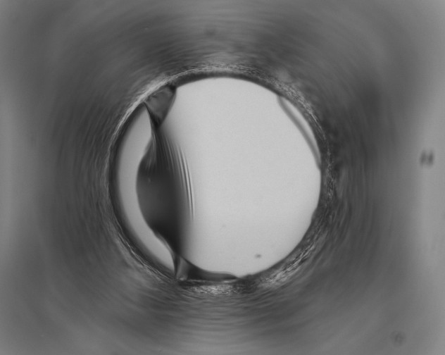 X0000094810108200712141631