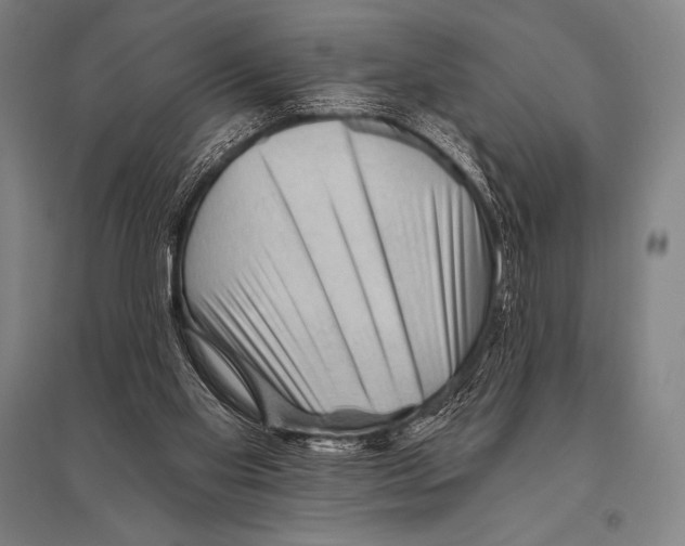 X0000094810109200712141631