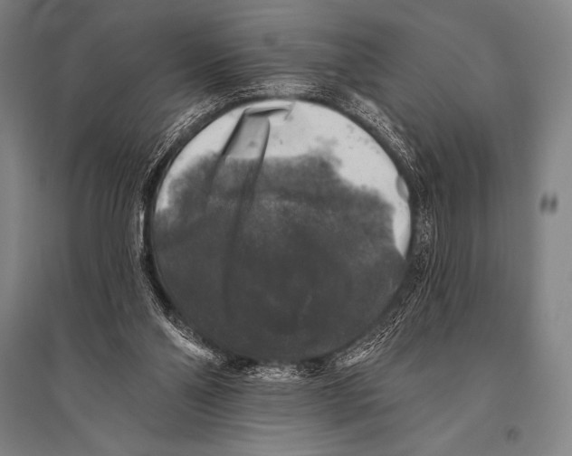 X0000094810110200712141631