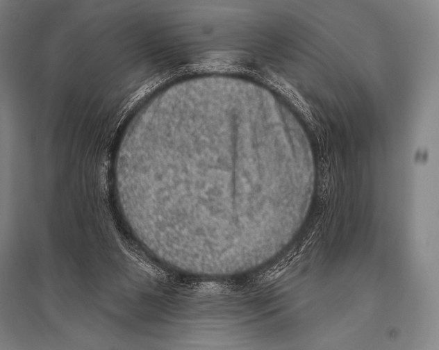 X0000094810111200712141631