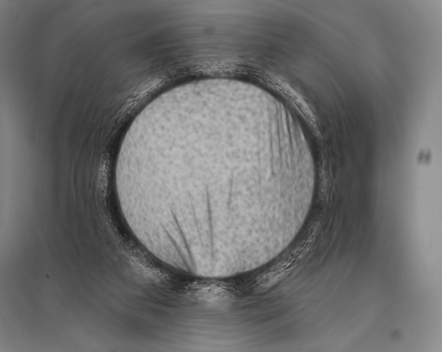 X0000094810113200712141631