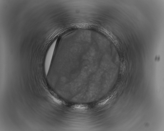 X0000094810117200712141631