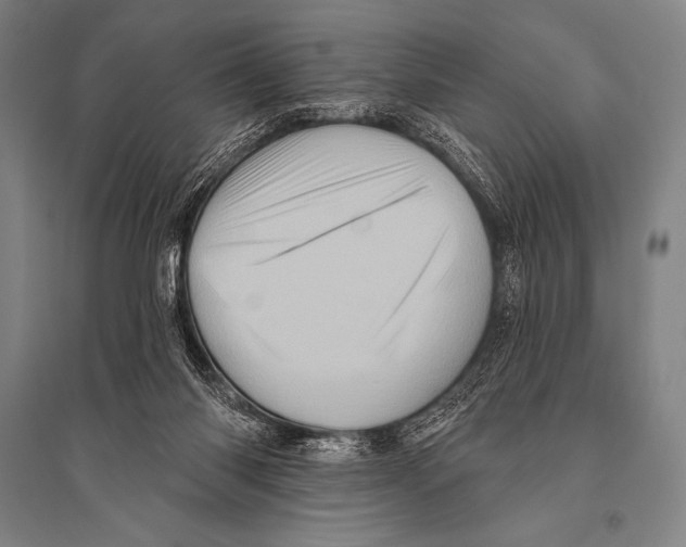 X0000094810118200712141631