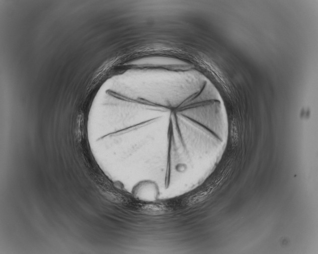 X0000094810119200712141631