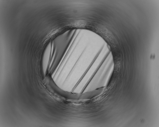 X0000094810120200712141631